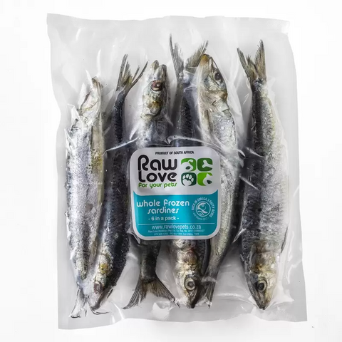 Sardines 4/6 Pack